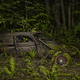 Illustration for article titled Photos of the abandoned antique cars nature has reclaimed